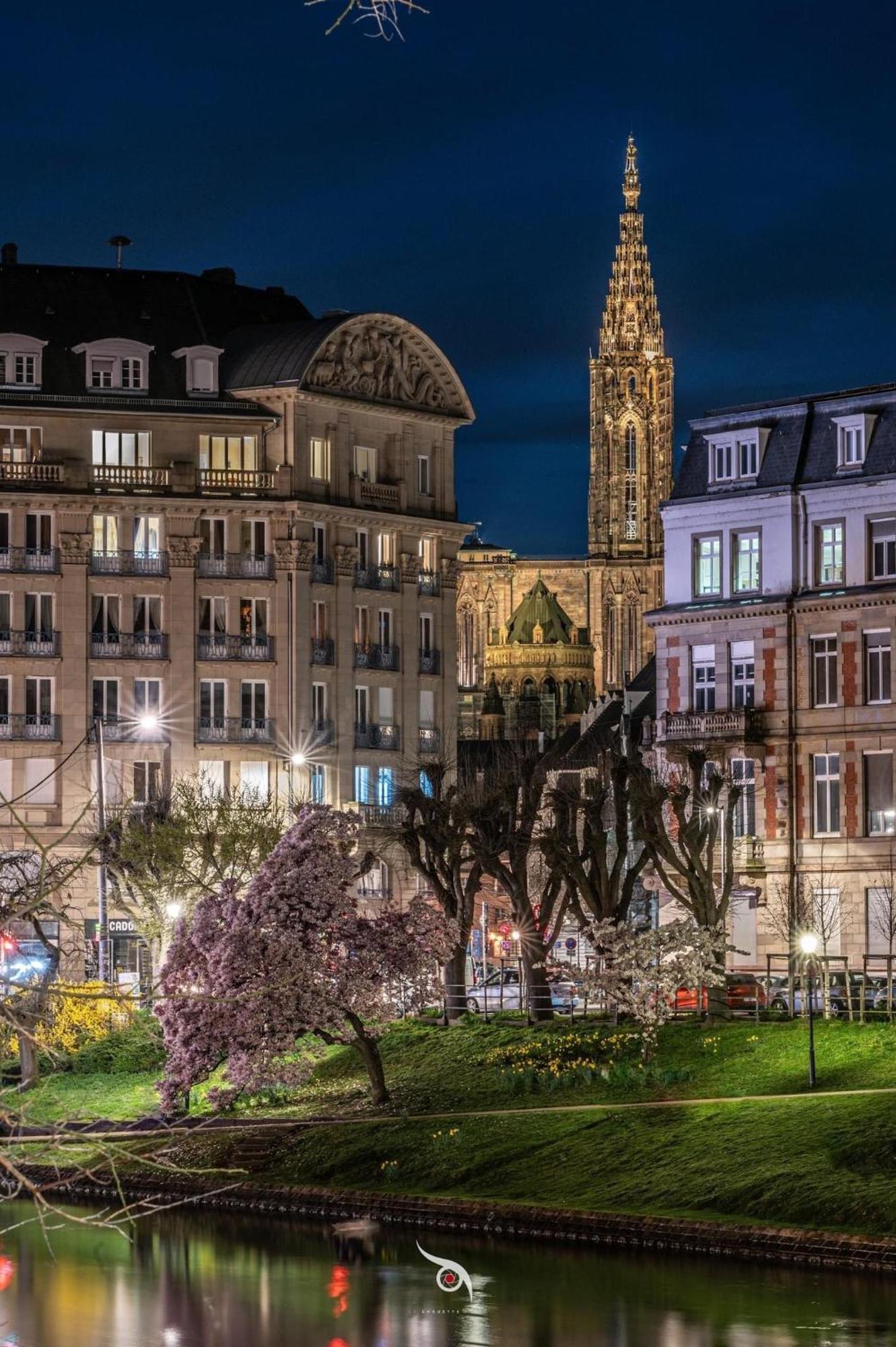 Appart & Studio Hyper Centre De Strasbourg - Proche Cathedrale & Petite France المظهر الخارجي الصورة