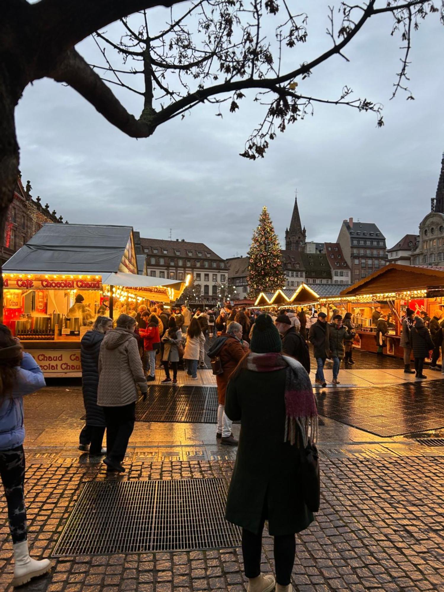 Appart & Studio Hyper Centre De Strasbourg - Proche Cathedrale & Petite France المظهر الخارجي الصورة