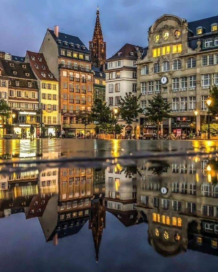 Appart & Studio Hyper Centre De Strasbourg - Proche Cathedrale & Petite France المظهر الخارجي الصورة