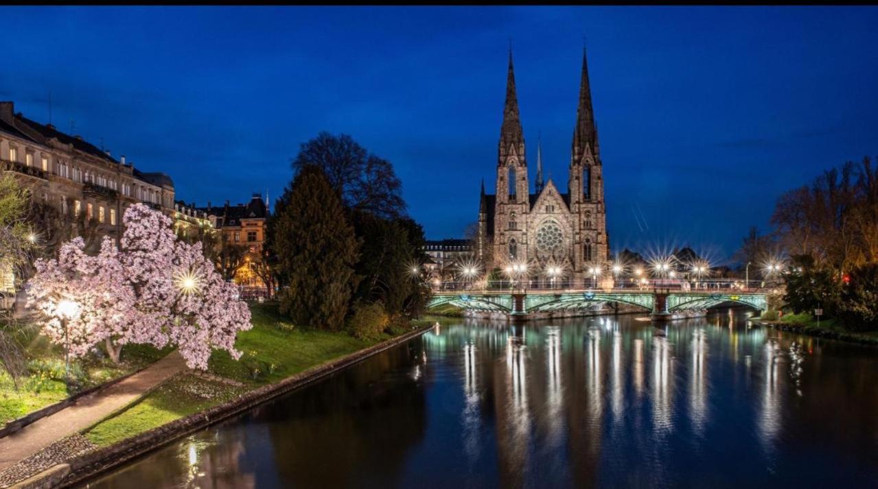 Appart & Studio Hyper Centre De Strasbourg - Proche Cathedrale & Petite France المظهر الخارجي الصورة