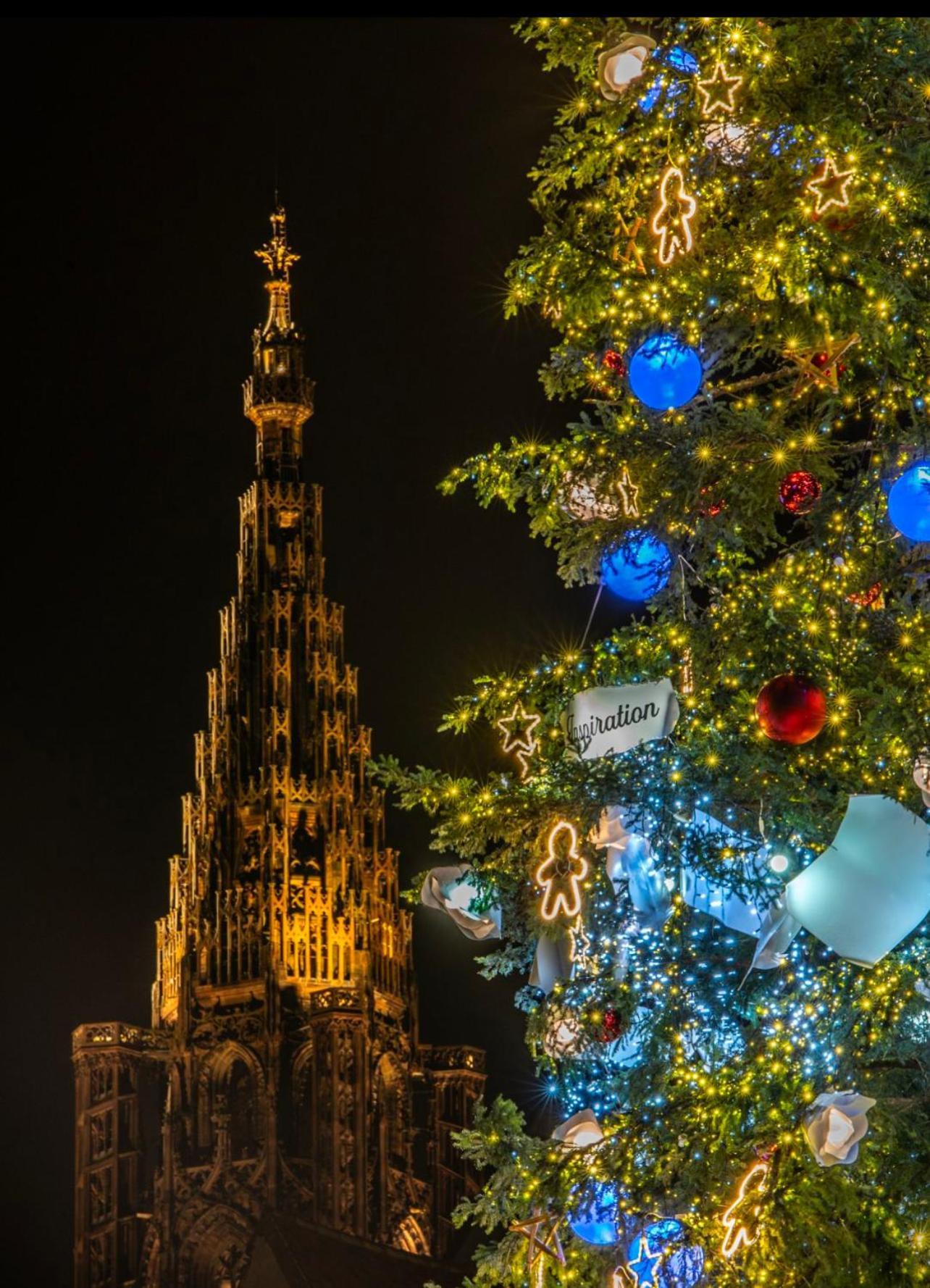 Appart & Studio Hyper Centre De Strasbourg - Proche Cathedrale & Petite France المظهر الخارجي الصورة